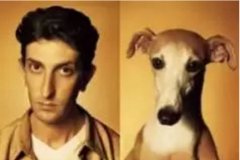 對(duì)于狗狗的這些秘密，您知道多少？