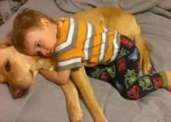 養狗千日，用在一時。。。。。